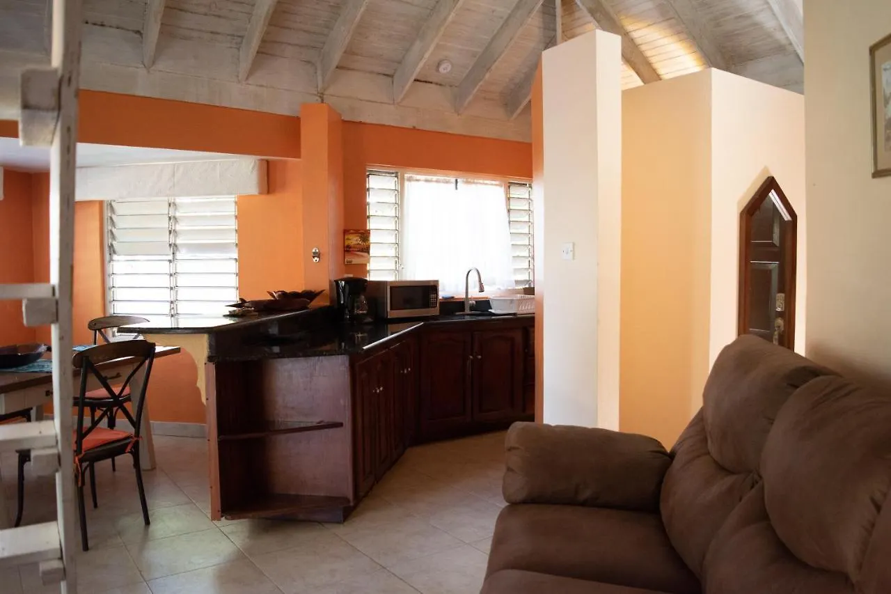 Vickitini Beachfront Resort Negril