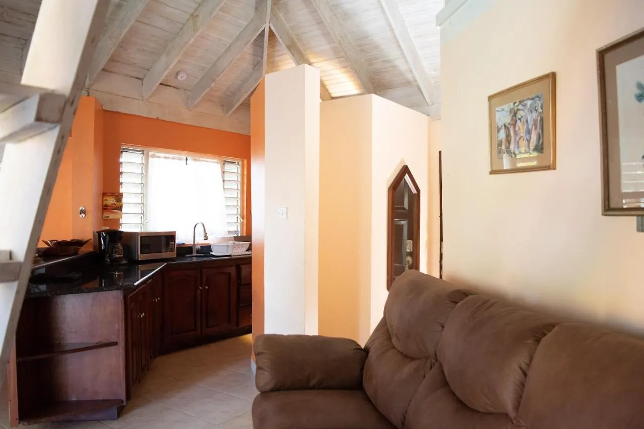 Vickitini Beachfront Resort Negril 0*,  Jamaica