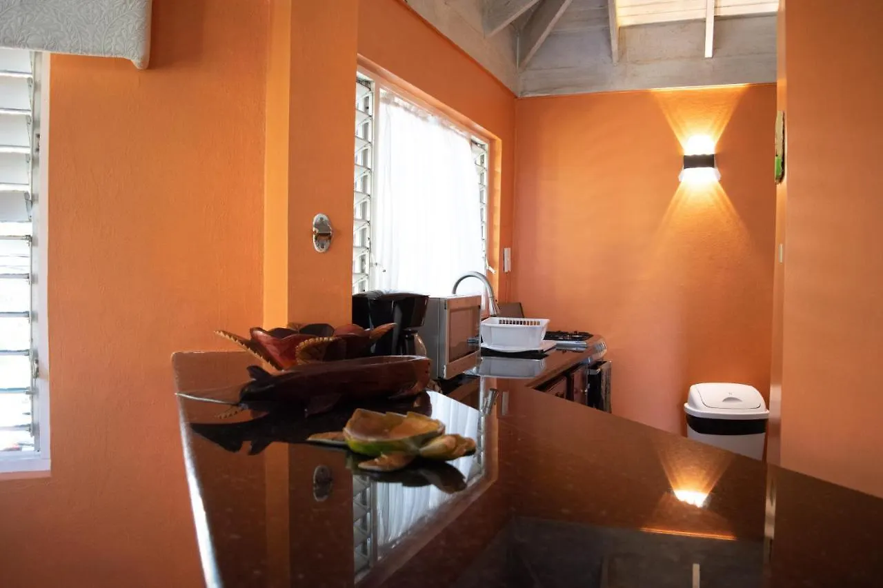 Vickitini Beachfront Resort Negril 0*,  Jamaica