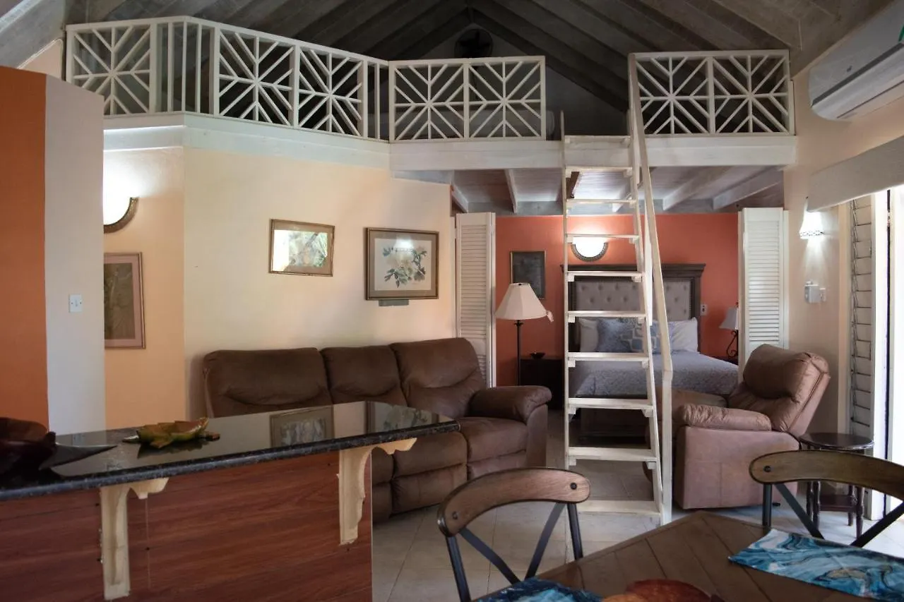 Vickitini Beachfront Resort Negril 0*,